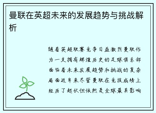 曼联在英超未来的发展趋势与挑战解析